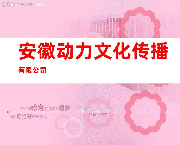 安徽动力文化传播有限公司